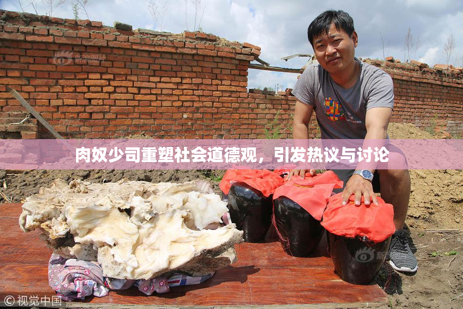 肉奴少司重塑社会道德观，引发热议与讨论