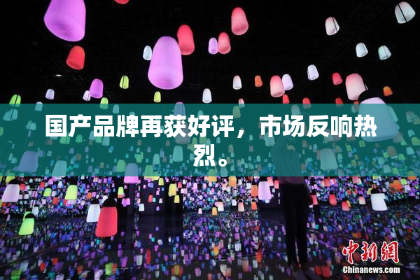 国产品牌再获好评，市场反响热烈。