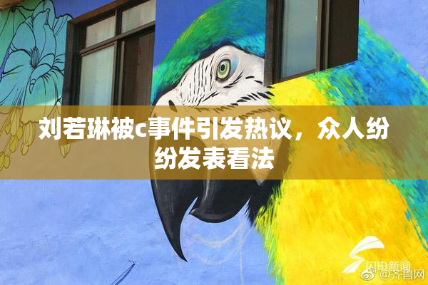 刘若琳被c事件引发热议，众人纷纷发表看法