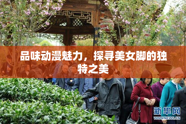 品味动漫魅力，探寻美女脚的独特之美