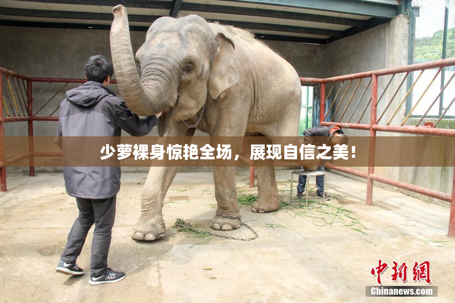少萝裸身惊艳全场，展现自信之美！