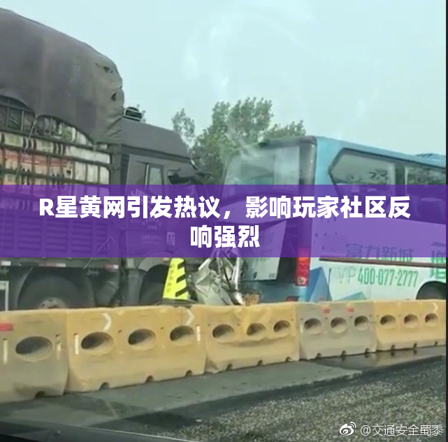 R星黄网引发热议，影响玩家社区反响强烈