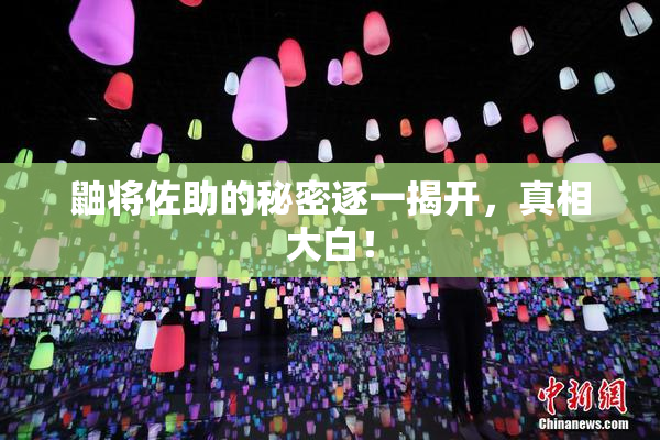 鼬将佐助的秘密逐一揭开，真相大白！