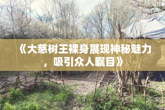《大慈树王裸身展现神秘魅力，吸引众人瞩目》