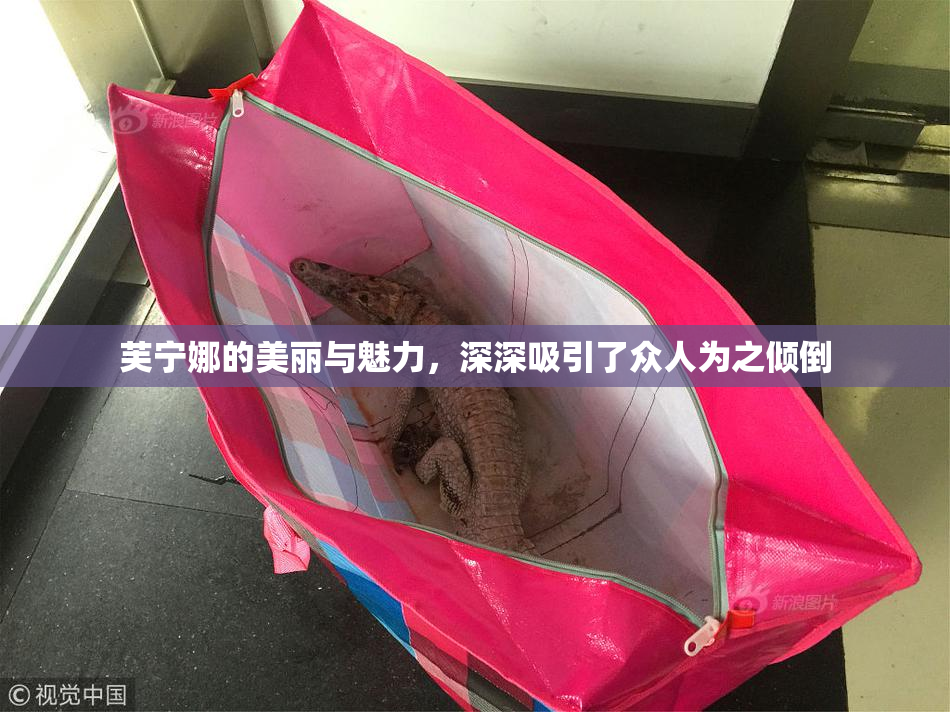 芙宁娜的美丽与魅力，深深吸引了众人为之倾倒