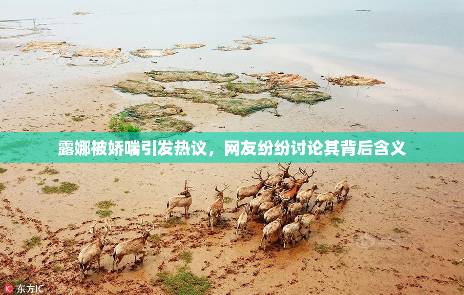 露娜被娇喘引发热议，网友纷纷讨论其背后含义
