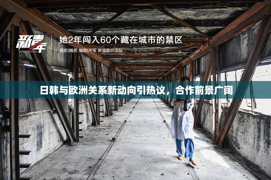 日韩与欧洲关系新动向引热议，合作前景广阔