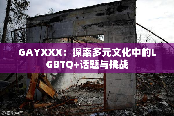 GAYXXX：探索多元文化中的LGBTQ+话题与挑战
