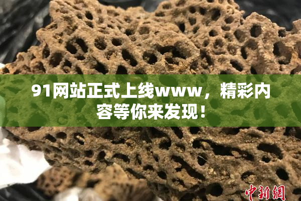 91网站正式上线www，精彩内容等你来发现！