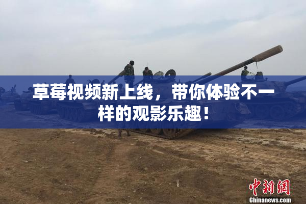 草莓视频新上线，带你体验不一样的观影乐趣！