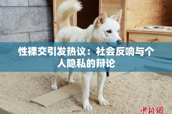 性裸交引发热议：社会反响与个人隐私的辩论