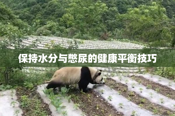 保持水分与憋尿的健康平衡技巧