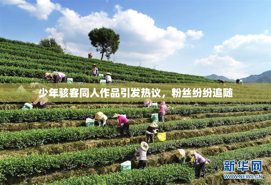 少年骇客同人作品引发热议，粉丝纷纷追随