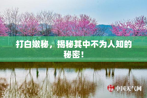 打白嫩秘，揭秘其中不为人知的秘密！