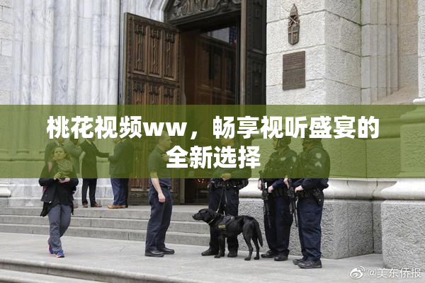 桃花视频ww，畅享视听盛宴的全新选择