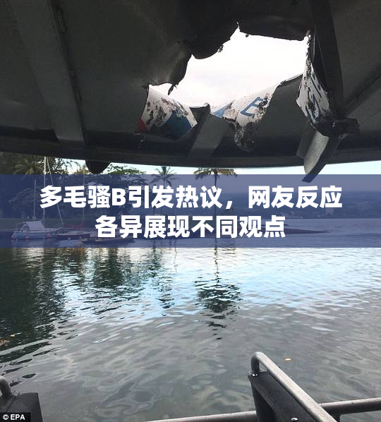 多毛骚B引发热议，网友反应各异展现不同观点