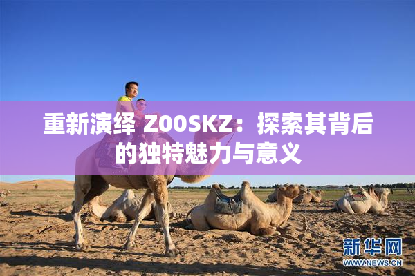 重新演绎 Z00SKZ：探索其背后的独特魅力与意义
