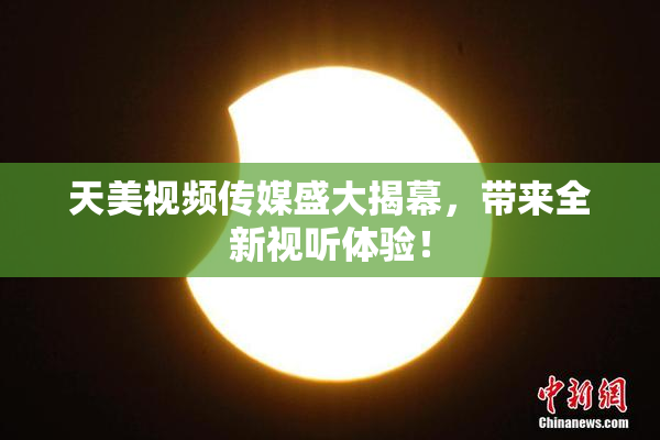 天美视频传媒盛大揭幕，带来全新视听体验！