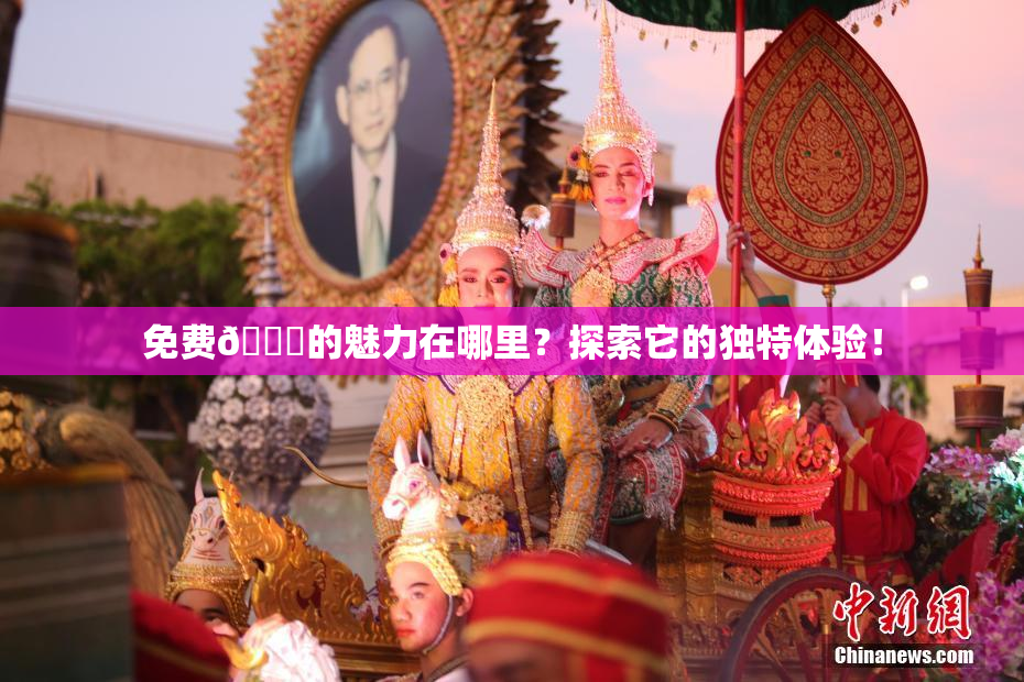 免费🔞的魅力在哪里？探索它的独特体验！