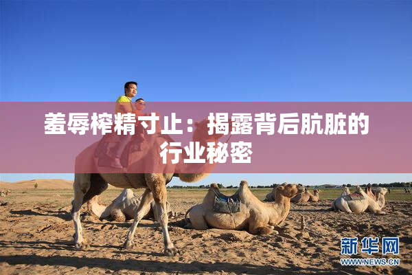 羞辱榨精寸止：揭露背后肮脏的行业秘密