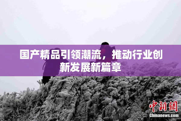 国产精品引领潮流，推动行业创新发展新篇章