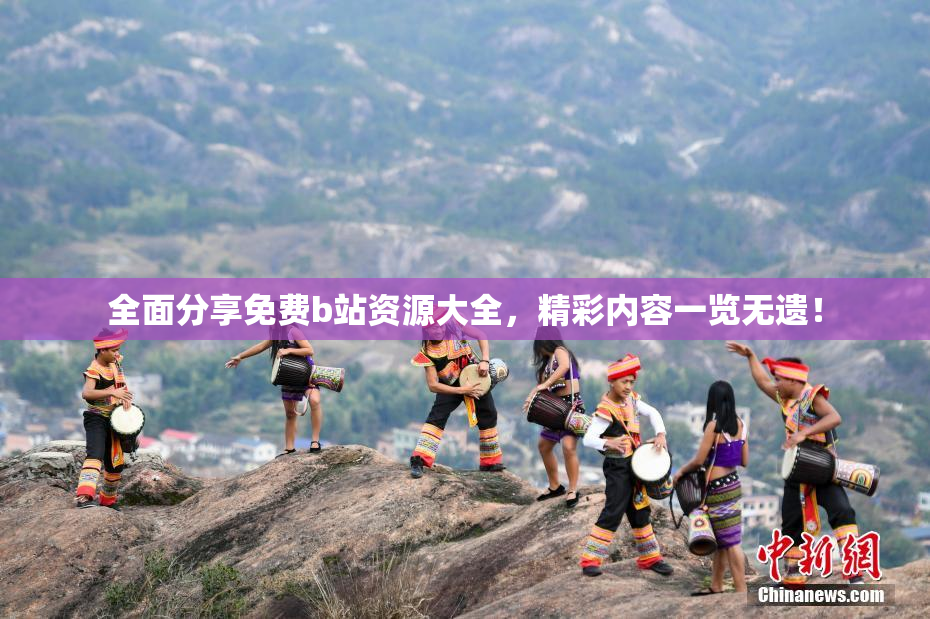 全面分享免费b站资源大全，精彩内容一览无遗！