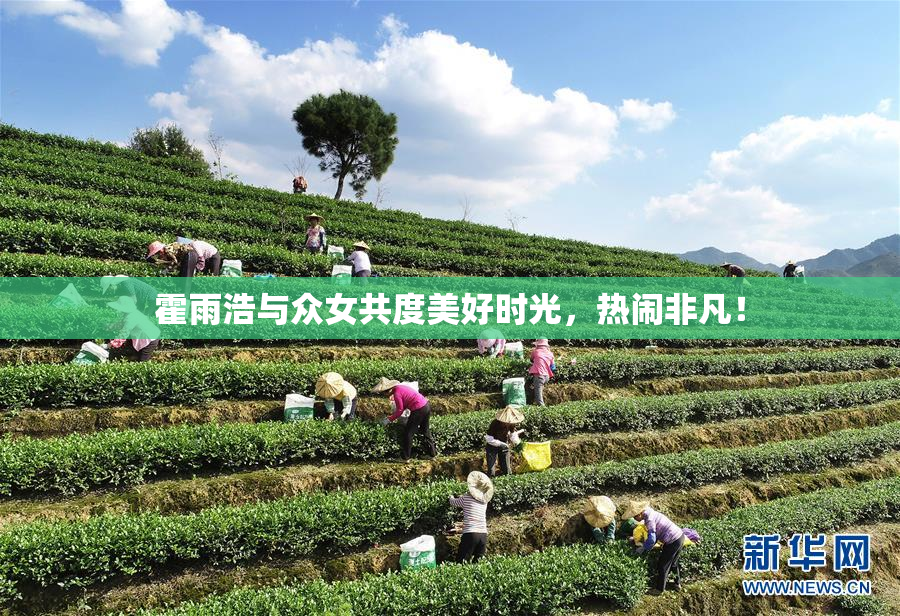 霍雨浩与众女共度美好时光，热闹非凡！