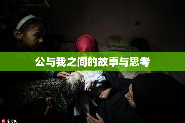 公与我之间的故事与思考