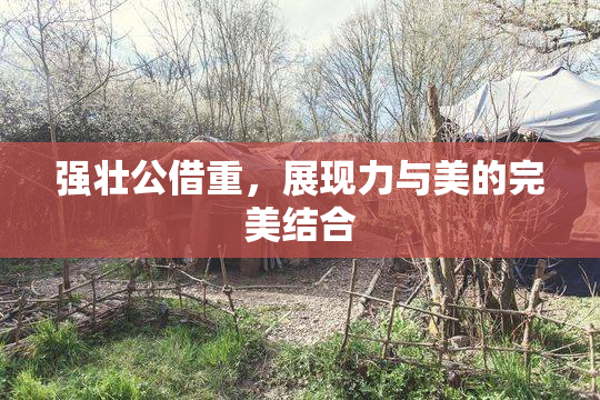 强壮公借重，展现力与美的完美结合