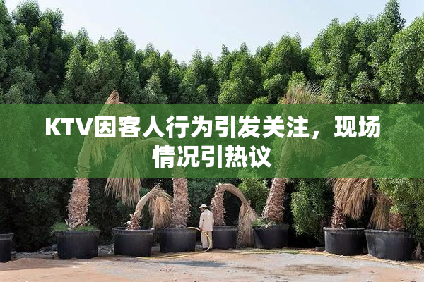 KTV因客人行为引发关注，现场情况引热议