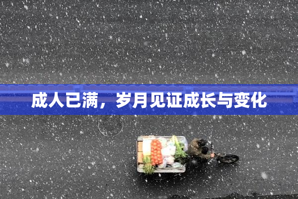 成人已满，岁月见证成长与变化