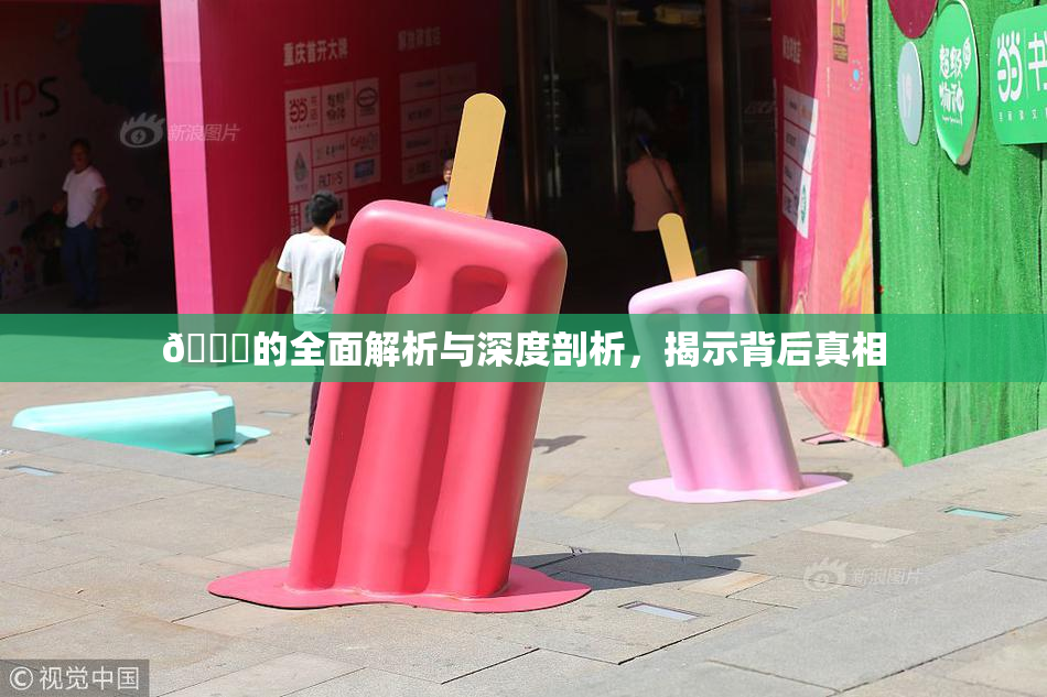 🈚的全面解析与深度剖析，揭示背后真相