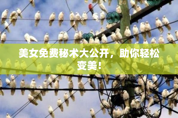 美女免费秘术大公开，助你轻松变美！