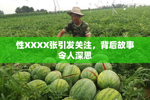 性XXXX张引发关注，背后故事令人深思
