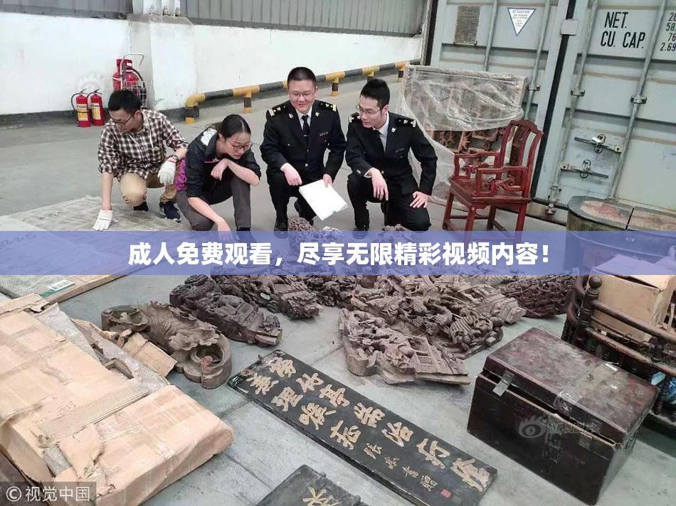 成人免费观看，尽享无限精彩视频内容！