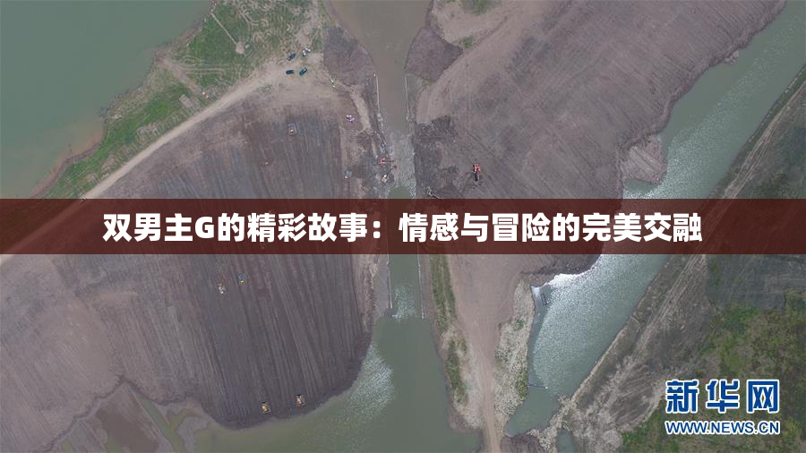 双男主G的精彩故事：情感与冒险的完美交融