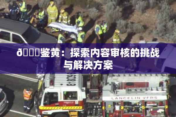 🔞鉴黄：探索内容审核的挑战与解决方案