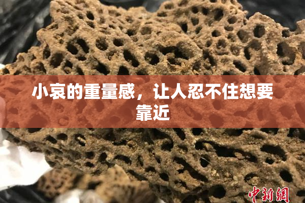 小哀的重量感，让人忍不住想要靠近