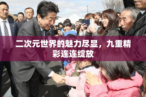 二次元世界的魅力尽显，九重精彩连连绽放