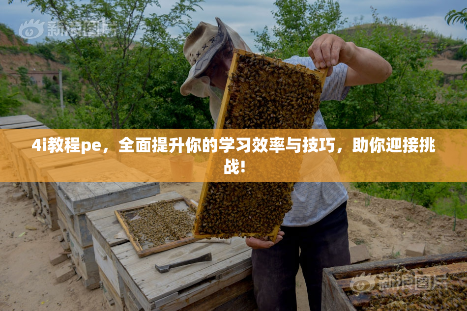 4i教程pe，全面提升你的学习效率与技巧，助你迎接挑战!