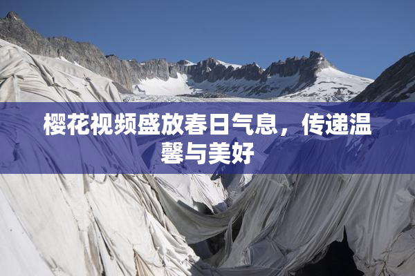 樱花视频盛放春日气息，传递温馨与美好