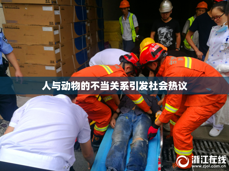 人与动物的不当关系引发社会热议