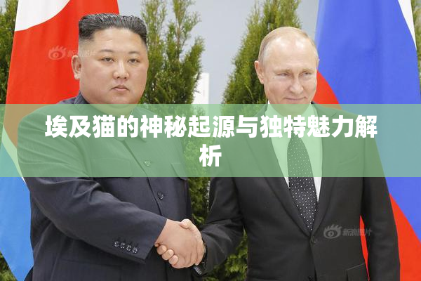 埃及猫的神秘起源与独特魅力解析