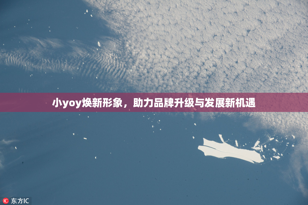 小yoy焕新形象，助力品牌升级与发展新机遇