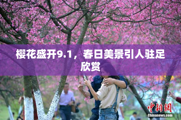 樱花盛开9.1，春日美景引人驻足欣赏