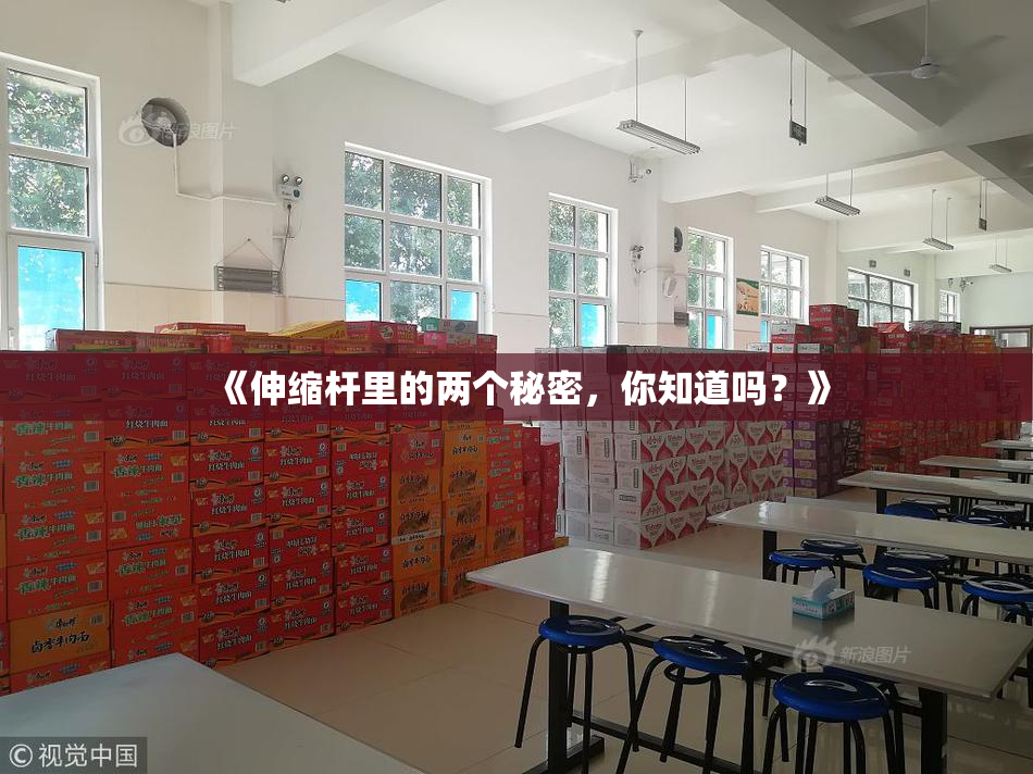 《伸缩杆里的两个秘密，你知道吗？》