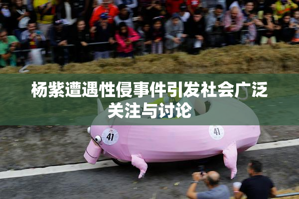 杨紫遭遇性侵事件引发社会广泛关注与讨论