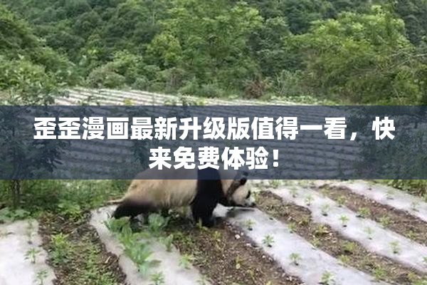 歪歪漫画最新升级版值得一看，快来免费体验！