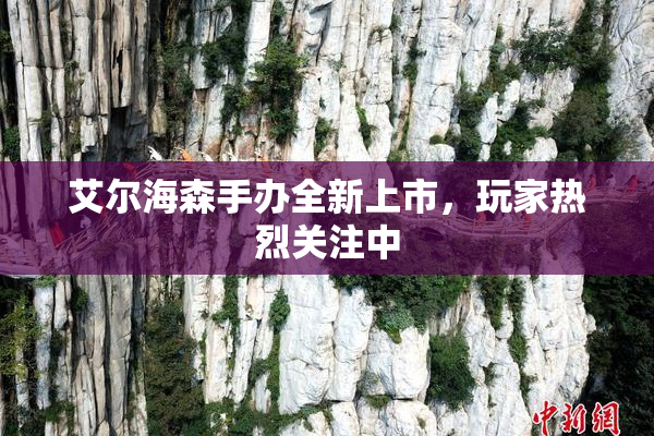 艾尔海森手办全新上市，玩家热烈关注中