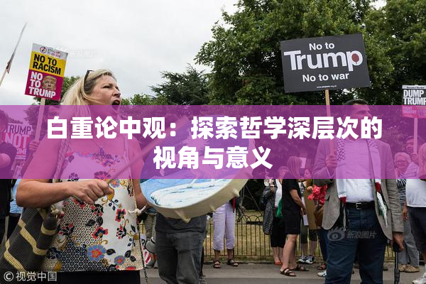 白重论中观：探索哲学深层次的视角与意义